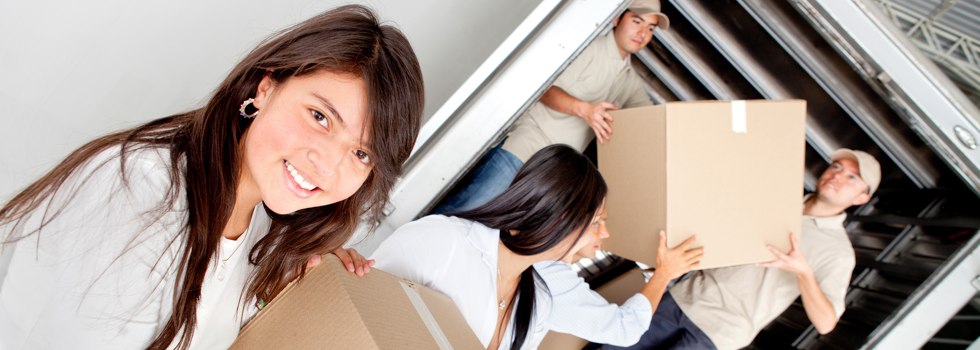 Professional Removalists Booval